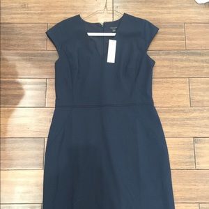 Ann Taylor Sheath Dress
